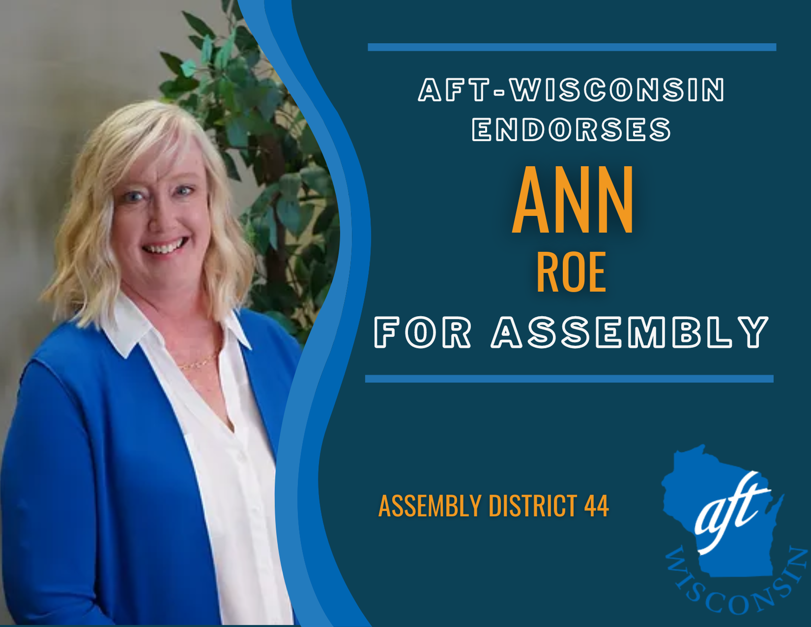 Ann Roe for Assembly District 14